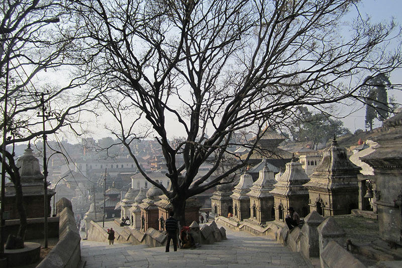 Familiereis India en Nepal Kathmandu