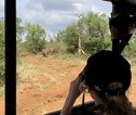 Gamedrive Krugerpark