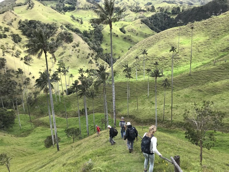 Rondreis Colombia waxpalmen wandeling