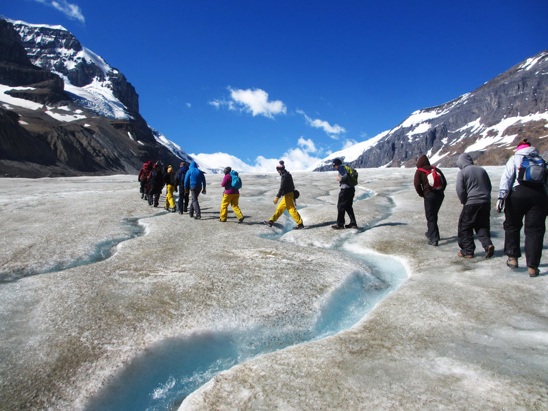 Familiereis Canada Columbia Icefield