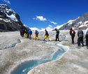 Familiereis Canada Columbia Icefield