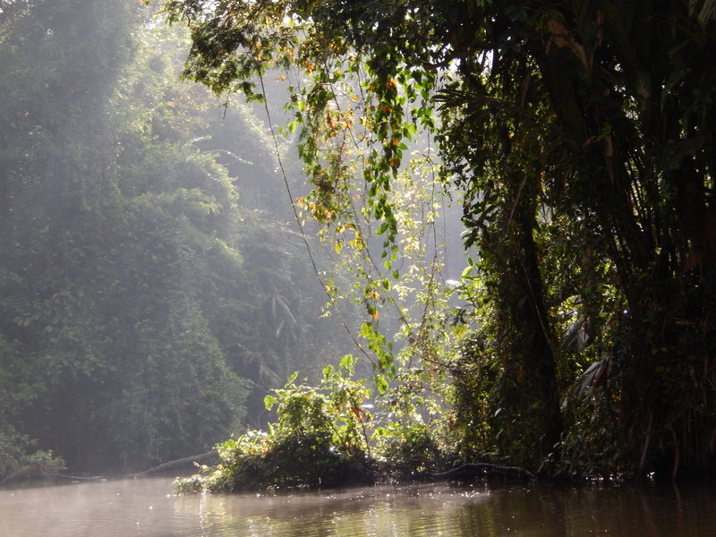 Tortuguero rondreis costa rica 