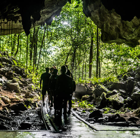 Familiereis Maleisisch Borneo Mulu grotten