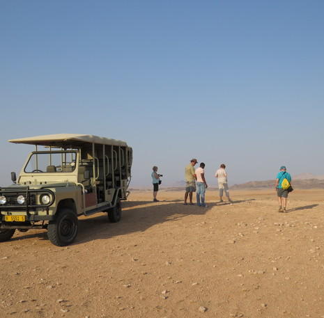 Rondreis Namibië safari