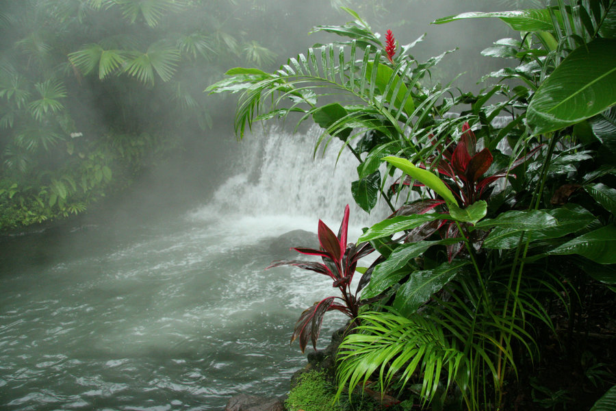 Arenal hotsprings rondreis