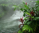 Arenal hotsprings rondreis