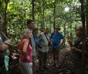 Rondreis Maleisisch Borneo wandeling