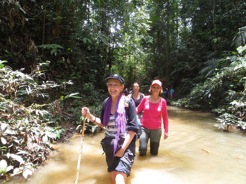 Rondreis Maleisisch Borneo wandeling jungle