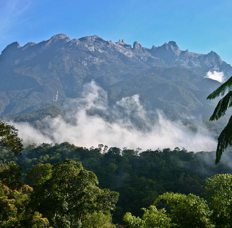 Rondreis Maleisisch Borneo Mount Kinabalu