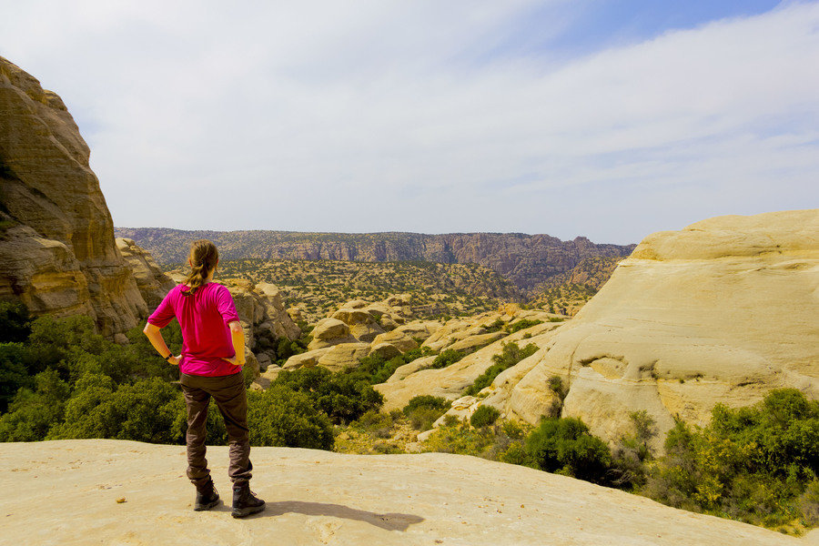 Rondreis Jordanië Dana