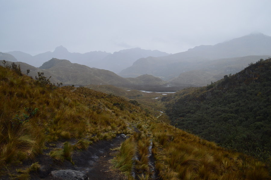 Rondreis Ecuador en Galapagos El Cajas