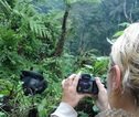 Rondreis Uganda Gorilla trekking