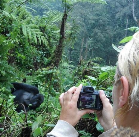 Rondreis Uganda Gorilla trekking