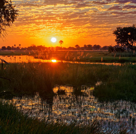 Rondreis Botswana Okavango Delta 