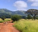 Rondreis Zuid-Afrika Swaziland