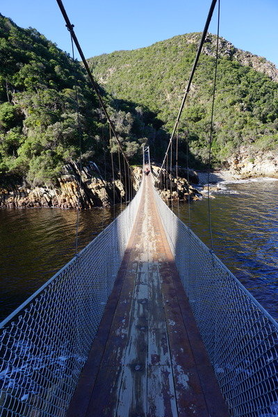 Rondreis Zuid-Afrika Tsitsikamma NP