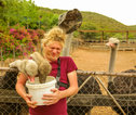Rondreis Zuid-Afrika struisvogel boerderij