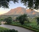 Rondreis Zuid-Afrika Winelands