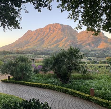 Rondreis Zuid-Afrika Winelands