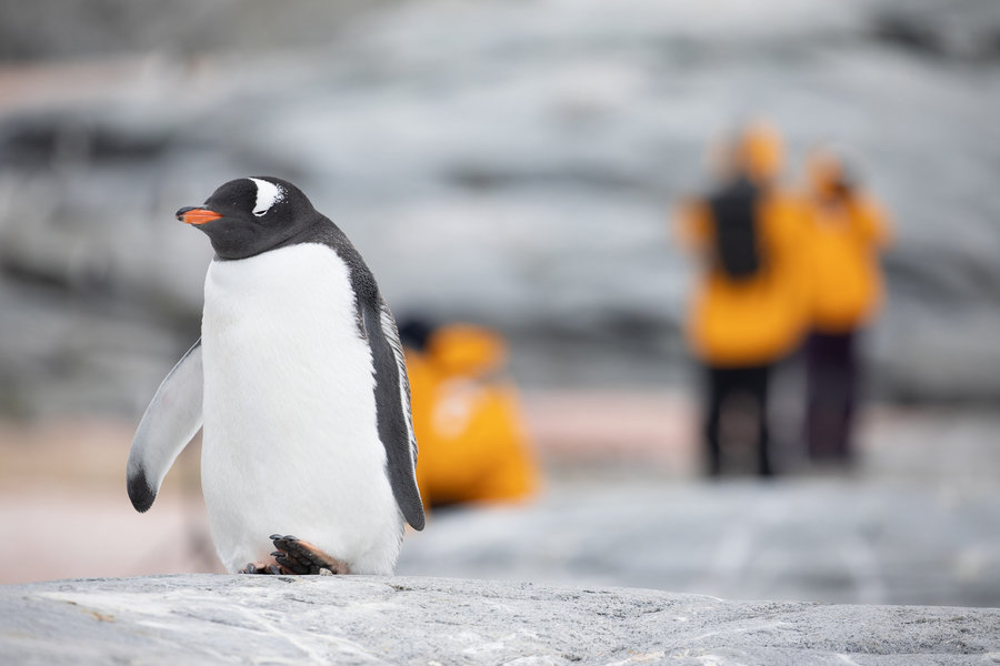Antarctica poolrondreis eclips 