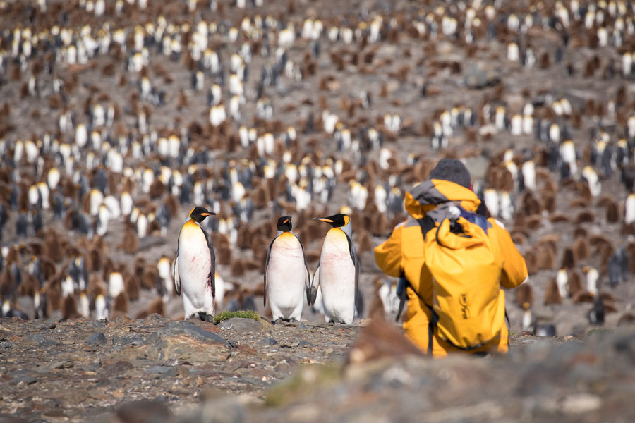 Antarctica poolrondreis eclips 