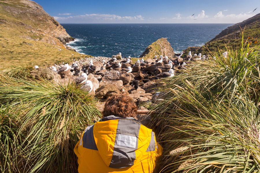 Antarctica poolrondreis eclips 