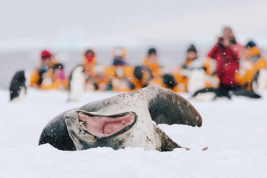 Antarctica poolrondreis eclips 