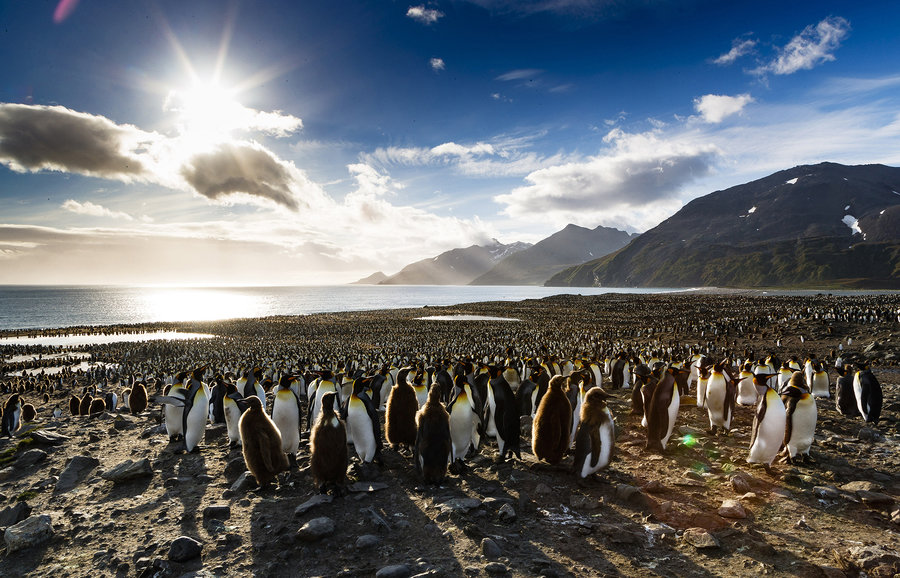 Antarctica poolrondreis eclips 