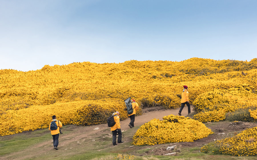 Antarctica poolrondreis eclips 
