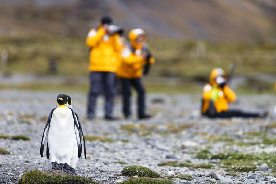 Antarctica poolrondreis eclips 