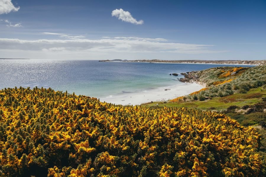 Antarctica poolrondreis eclips 