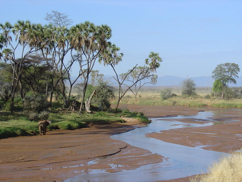 Samburu