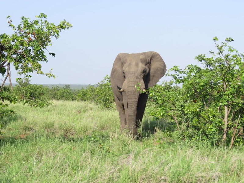 Zuid-Afrika en Mozambique