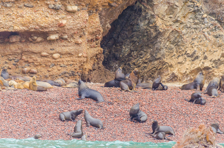 Groepsreis Peru Islas Ballestas