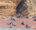 Groepsreis Peru Islas Ballestas